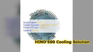 Sostituzione frizione ventola motore HINO 500 16250 E0021