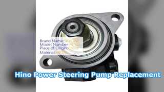 Sostituzione pompa servosterzo Hino EF750 44310 1641