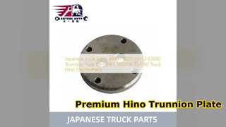 Sostituzione piastra perno Hino 500 700 49431 1020